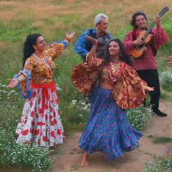 Инфобизнес: волшебная пилюля или каша из топора?