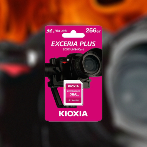 KIOXIA EXCERIA PLUS 256 Гб: карта для 4K60HDR