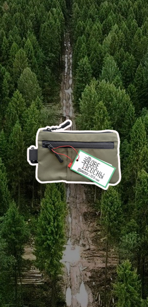 Органайзер дорожный для паспорта «Две сосны»