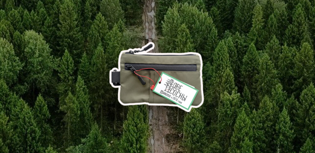 Органайзер дорожный для паспорта «Две сосны»