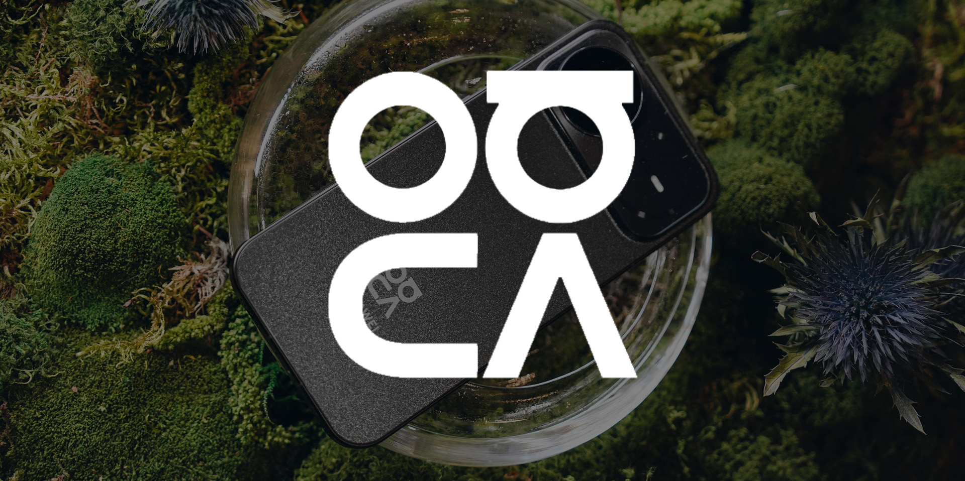 НИУ ВШЭ и Huawei: nova, фото, креативность